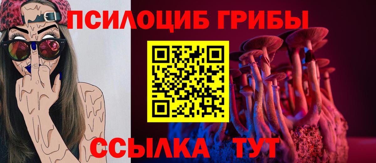 Псилоцибиновые грибы GOLDEN TEACHER  Вход с VPN  Псилоцибиновые грибы Psilocybe  Сергиев Посад 