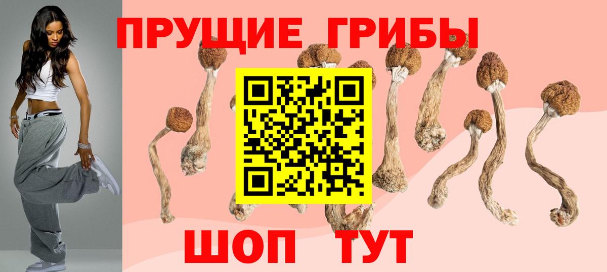 Галлюциногенные грибы Cubensis Сергиев Посад